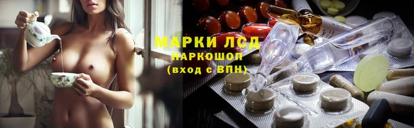 прущий лед Вяземский