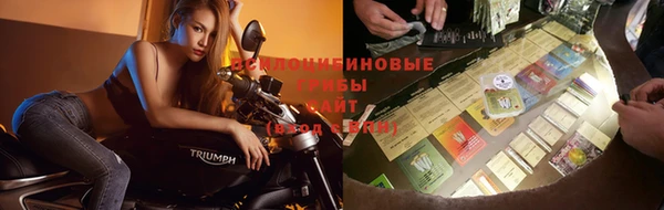 spice Вязники