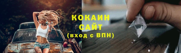 прущий лед Вяземский