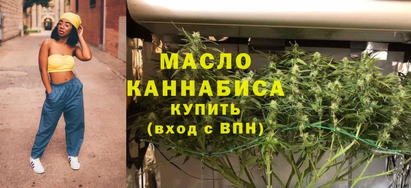 прущий лед Вяземский