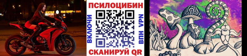 Псилоцибиновые грибы MAGIC MUSHROOMS  купить наркотик  Заводоуковск 